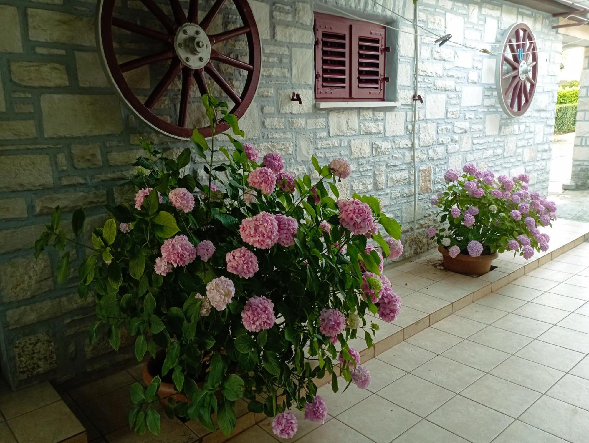 Apartman Sunce Umag Ngoại thất bức ảnh